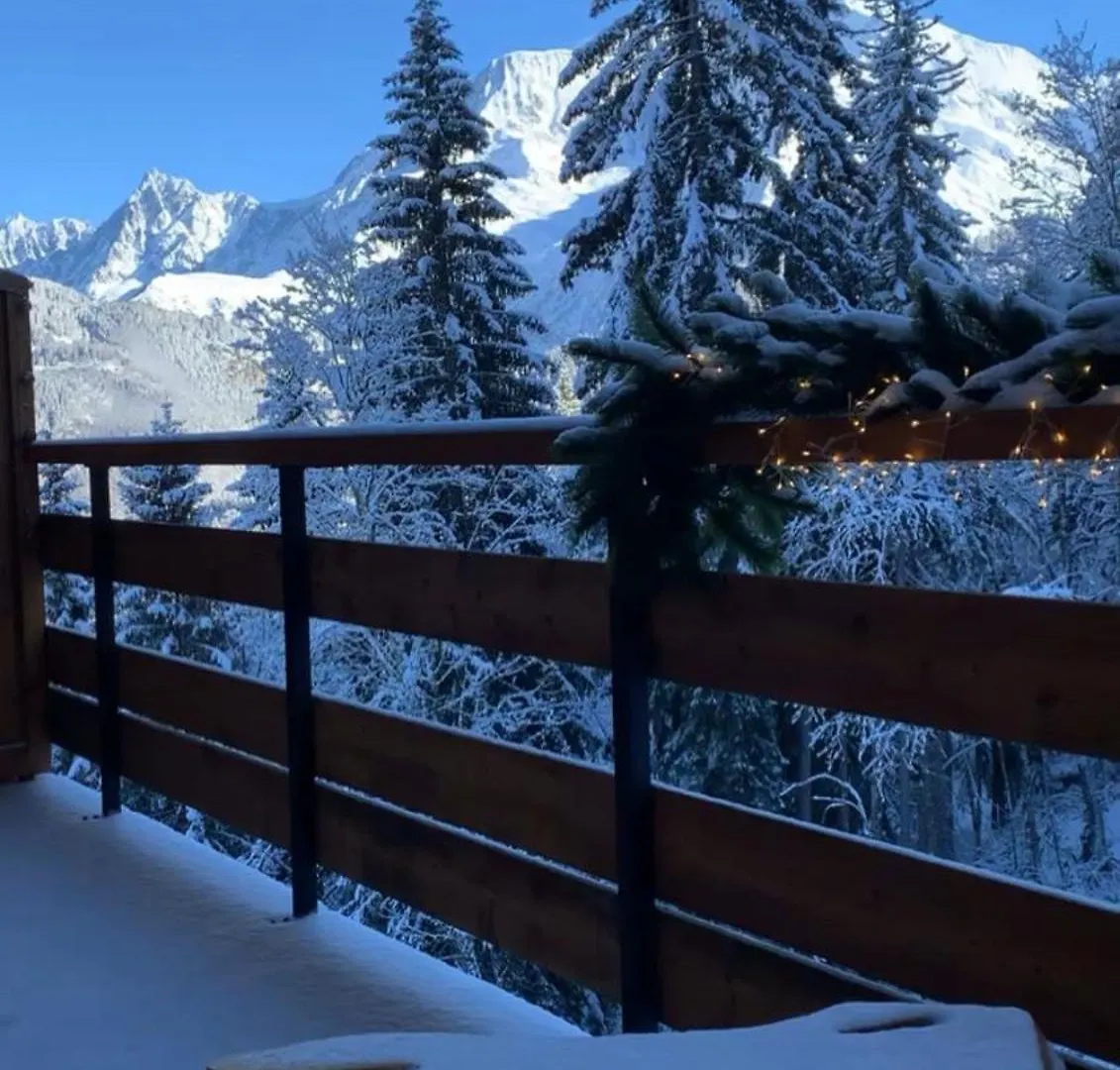 Studio Cabine Au Loup Blanc Avec Vue Mont Blanc Saint-Gervais-les-Bains Διαμέρισμα